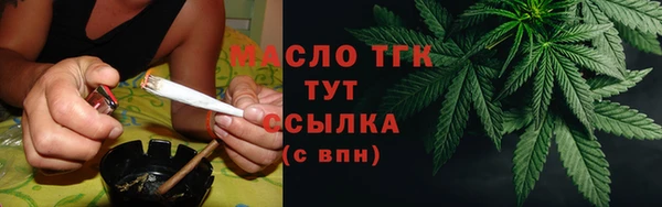 индика Бронницы